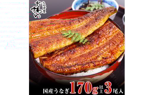特大サイズ国産うなぎ蒲焼き170g 3本セット(A999-1)