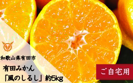 有田みかん「風のしるし」(約5kg)(A1051-1)