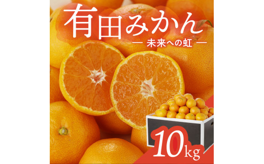 有田みかん「未来への虹」(10kg)(A2-2)