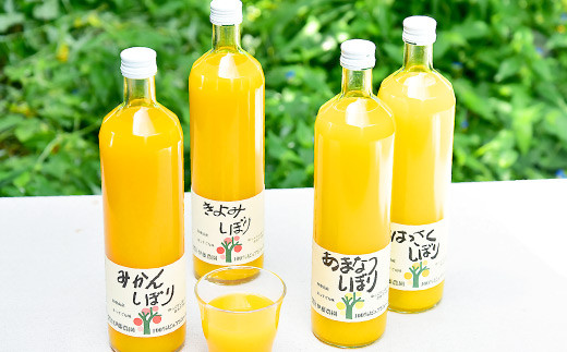 伊藤農園 100%ピュアジュース飲み比べ750ml×9本セット(A79-3)