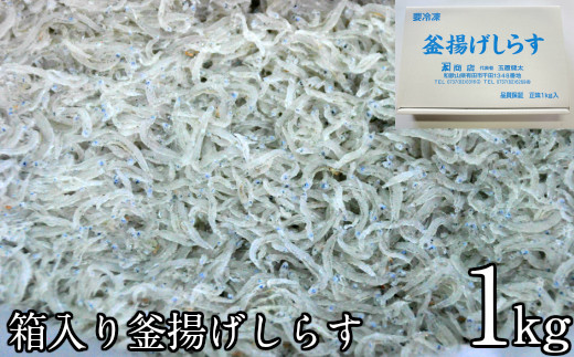 箱入り釜揚げしらす1kg(A205-1)