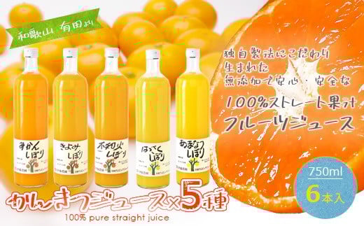伊藤農園 100%ピュアジュース 大瓶750ml おまかせ6本セット(A224-2)