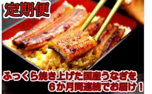 【定期便】国産うなぎ蒲焼大サイズ2本セット(6か月お届け)(A265-1)