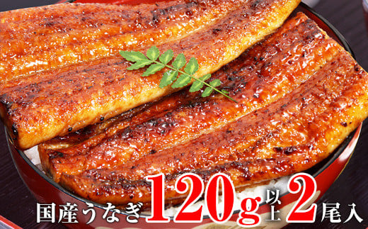 国産うなぎ蒲焼2本セット(120~149g)(A268-1)