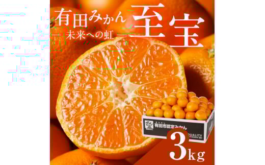 有田市認定みかん「未来への虹」至宝(3kg)【日本初自治体認定フルーツ】(A327-2)
