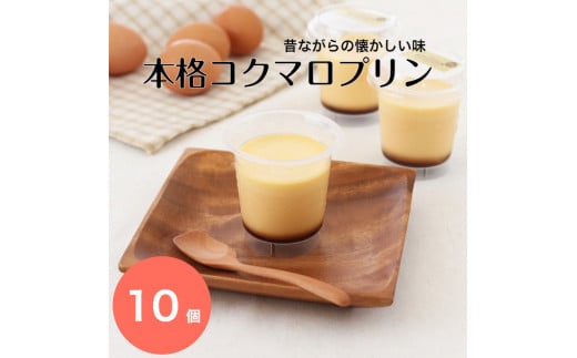 本格コクマロプリン10個入り(A403-2)