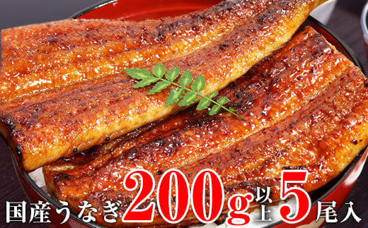 超特大サイズ国産うなぎ蒲焼き5本セット(合計1kg)(A489-1)