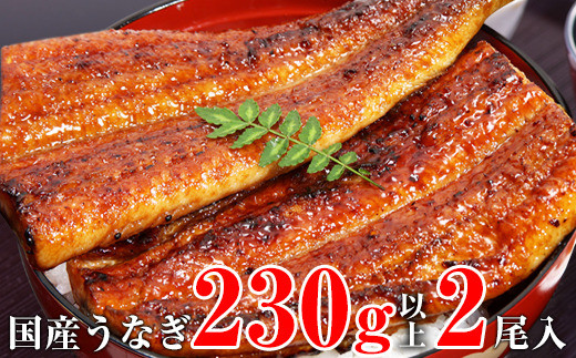 【数量限定】超特大サイズ国産うなぎ蒲焼き2本セット (230~249g×2本)(A632-2)