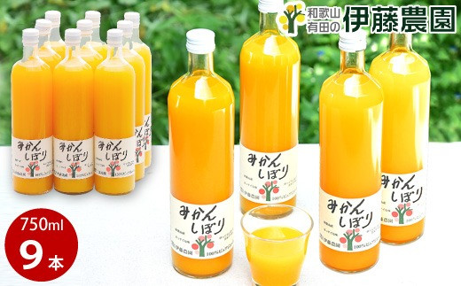 伊藤農園 100%ピュアジュース みかんしぼり750ml×9本(A636-3)