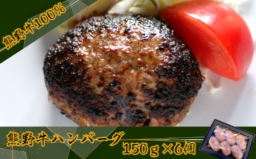 黒毛和牛100％希少なブランド熊野牛ハンバーグ（150ｇ×6個）(A663-1)
