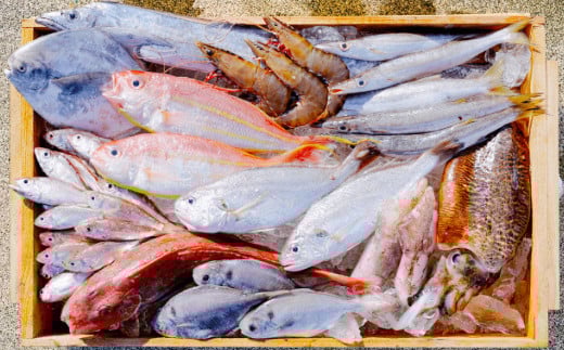 漁師の鮮魚箱(約4kg)(A890-3)