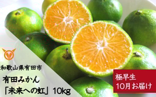 【10月お届け】有田みかん「未来への虹」(10kg)(A233-2)