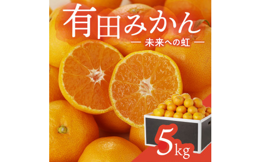 有田みかん「未来への虹」(5kg)(A973-2)