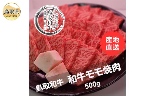 B25-003 鳥取和牛モモ焼肉 冷凍500g 鳥取県 おすすめ 和牛 牛肉 ブランド牛 赤身 オレイン酸