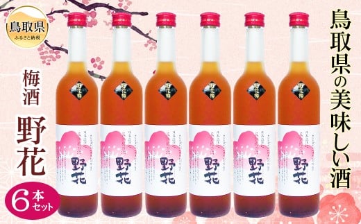 D25-011 鳥取県の美味しい酒　梅酒　野花（のきょう）6本セット