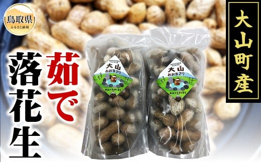 B25-040 大山町産 茹で落花生(オオマサリ 1kg) 鳥取県 おすすめ 大山 だいせん ジャンボ落花生 塩茹落花生 おおまさり