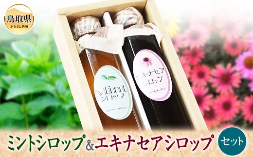 り25-003 S-7 ミントシロップ&エキナセアシロップセット