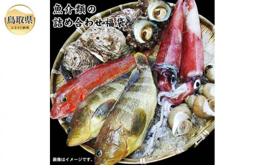 B25-068 (※お歳暮専用※)魚介類の詰め合わせ 鳥取県 水揚げ 詰め合わせ 山陰 新鮮