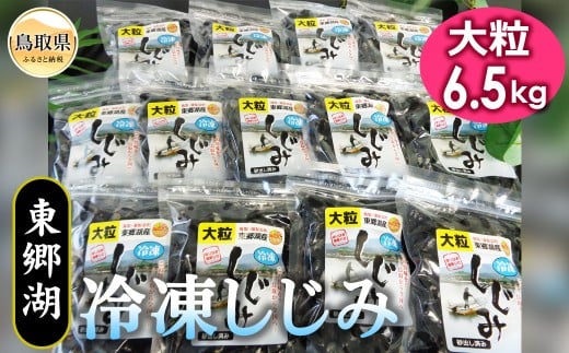 E24-008 東郷湖冷凍しじみ(大粒) 6.5kg 鳥取県 おすすめ 湯梨浜町 黒いダイヤ