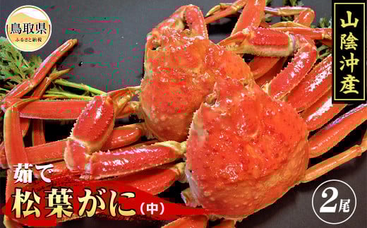 C24-047 茹で 松葉かに(足欠け)中サイズ 2尾入【期間・数量限定】 鳥取県 おすすめ ボイル 松葉がに ズワイガニ