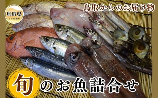 B24-136 鳥取からのお届け物「旬」のお魚詰合せ 【数量限定】