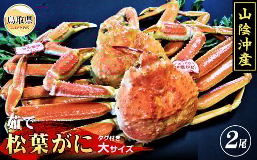 F24-015 【特撰】茹で 松葉かに タグ付き 大サイズ 2尾入【期間・数量限定】 鳥取県 おすすめ ボイル 松葉がに ズワイガニ