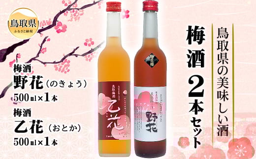 A24-050 鳥取県の美味しい酒 梅酒 2本セットB
