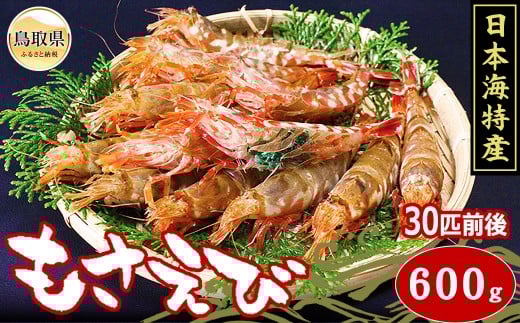 B24-072 モサエビ 冷凍 鳥取県 もさえび