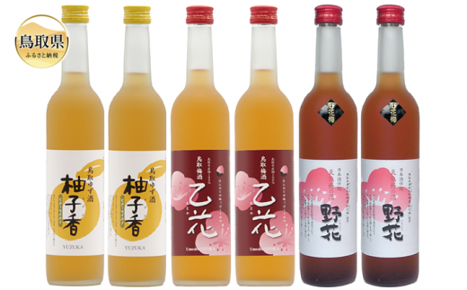C24-016 鳥取県の美味しい酒 梅酒・ゆず酒 6本セット
