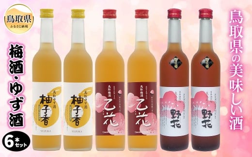 C24-016 鳥取県の美味しい酒 梅酒・ゆず酒 6本セット