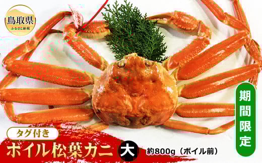 E24-074 【魚倉】タグ付きボイル松葉ガニ 大 約800g(ボイル前)【期間限定】 鳥取県 おすすめ 松葉かに ズワイガニ