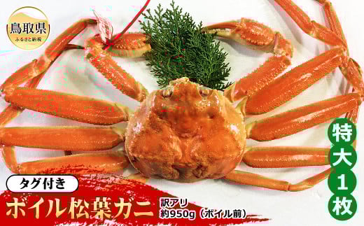 E24-045 【魚倉】タグ付きボイル松葉ガニ 特大 約950g（ボイル前）【期間限定】 鳥取県 おすすめ 松葉かに ズワイガニ
