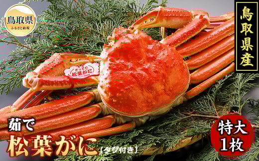 F24-006 鳥取県産　茹で松葉がに【期間限定】 鳥取県 おすすめ ボイル タグ付 松葉かに ズワイガニ