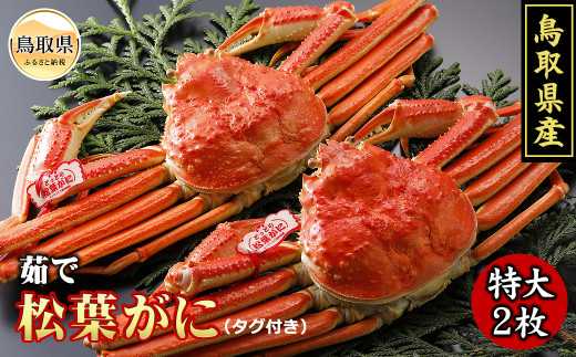 F24-007 鳥取県産　茹で松葉がに2枚【期間限定】 鳥取県 おすすめ ボイル 松葉かに ズワイガニ