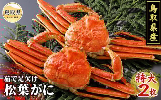 F24-008 鳥取県産　茹で足欠け松葉がに2枚【期間限定】 鳥取県 おすすめ ボイル 松葉かに ズワイガニ