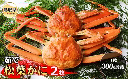 D24-117 茹で松葉ガニ 2枚(1枚300g前後)【期間限定】 鳥取県 おすすめ ボイル 松葉かに ズワイガニ