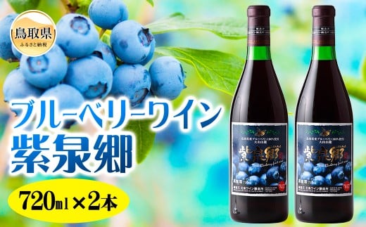 C24-164 ブルーベリーワイン紫泉郷720ml 2本ｾｯﾄ【数量限定】