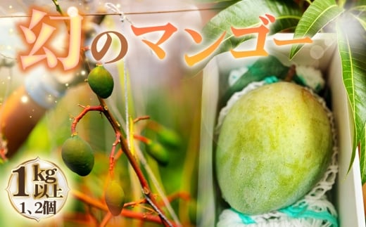 No.226 幻のマンゴー　1kg以上 ／ マンゴー 大型 果物 フルーツ 糖度が高い 繊維質が少ない 濃厚 甘み 完熟 人気の高い品種 愛知県