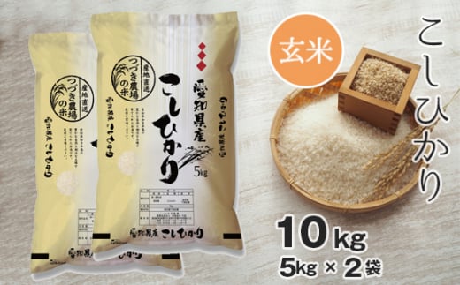 No.096 【玄米】 令和5年産 つづき農場のコシヒカリ 10kg ／ お米 こしひかり 愛知県