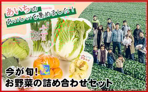 今が旬！お野菜の詰め合わせセット ／ 新鮮 季節の野菜 おまかせ たっぷり 愛知県 特産品 No.214