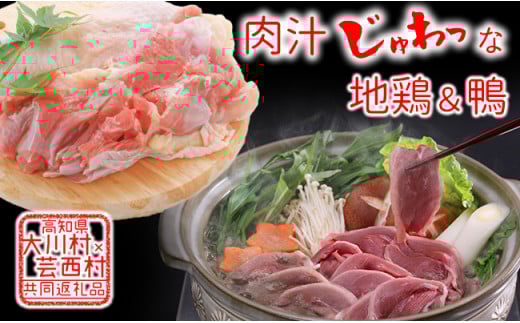 【大川村と芸西村の共通返礼品】はちきん地鶏 もも肉 1kg&土佐鴨 鴨鍋肉(2~3人前)セット 地鶏 モモ肉 鶏肉 鴨 鴨肉 かも肉 とり肉 とりにく 肉 高知県 大川村 F6R-012