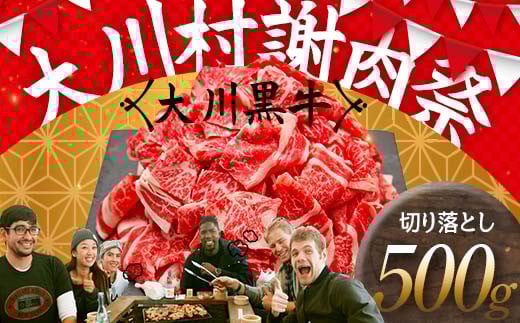 国産黒毛和牛 大川黒牛 切り落とし A4(250g×2パック) 国産 黒毛和牛 A4 切り落とし 牛肉 高知県 大川村 F6R-020