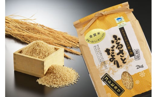 【令和7年産】『定期便』日本一おいしい米コンテスト金賞受賞 早川農興コシヒカリ 玄米10kg × 5か月 FC140001