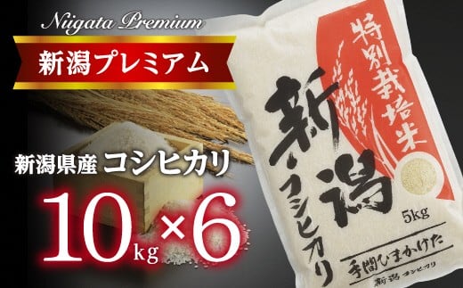 【令和7年産】『定期便』新潟プレミアム 特別栽培米 コシヒカリ 白米10kg × 6か月 FC185004
