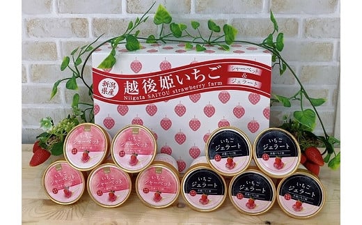 いちごシャーベット、ジェラート詰め合せ FC013007