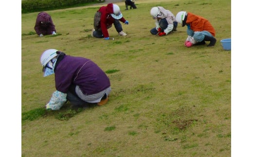 燕市シルバー人材センター利用サービス(庭の草取りサービス 15~20坪程度) FC050039