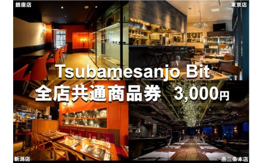 Tsubamesanjo Bit 商品券3,000円