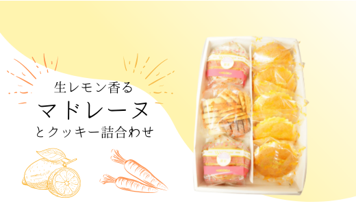 生レモン香るマドレーヌ(5個)&クッキー2種(10枚+1袋)詰め合わせ