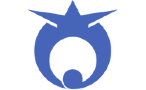 （５）町政全般