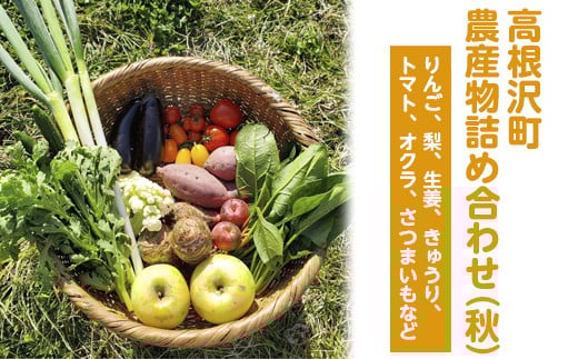 高根沢町農産物詰め合わせ（秋）※2025年9月上旬～11月下旬頃に順次発送予定　※北海道・沖縄・離島への配送不可